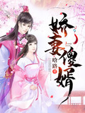 娇妻傻婿